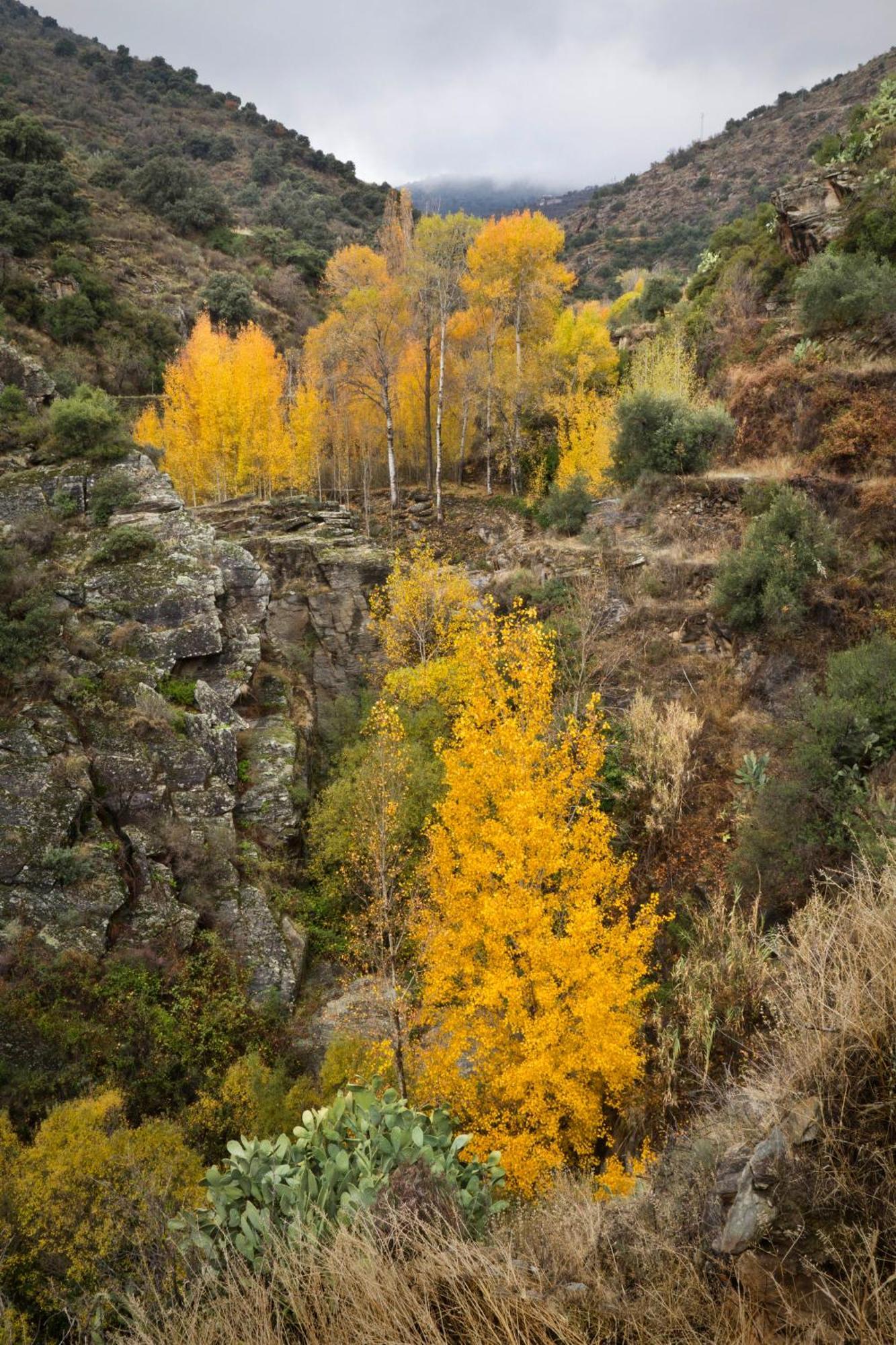 Гостевой дом Reul Alto Cortijos Rurales Лароя Экстерьер фото